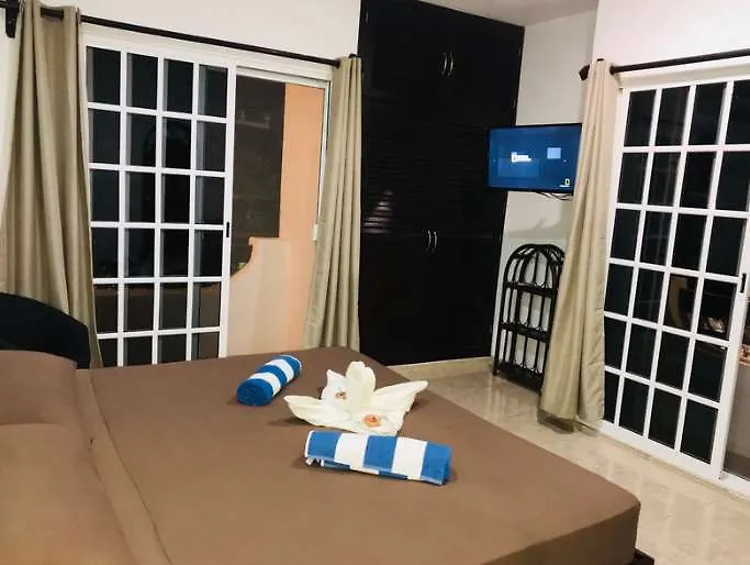 Dolce Vita Caribe Beach Bb プレヤデルカーメン ホテル